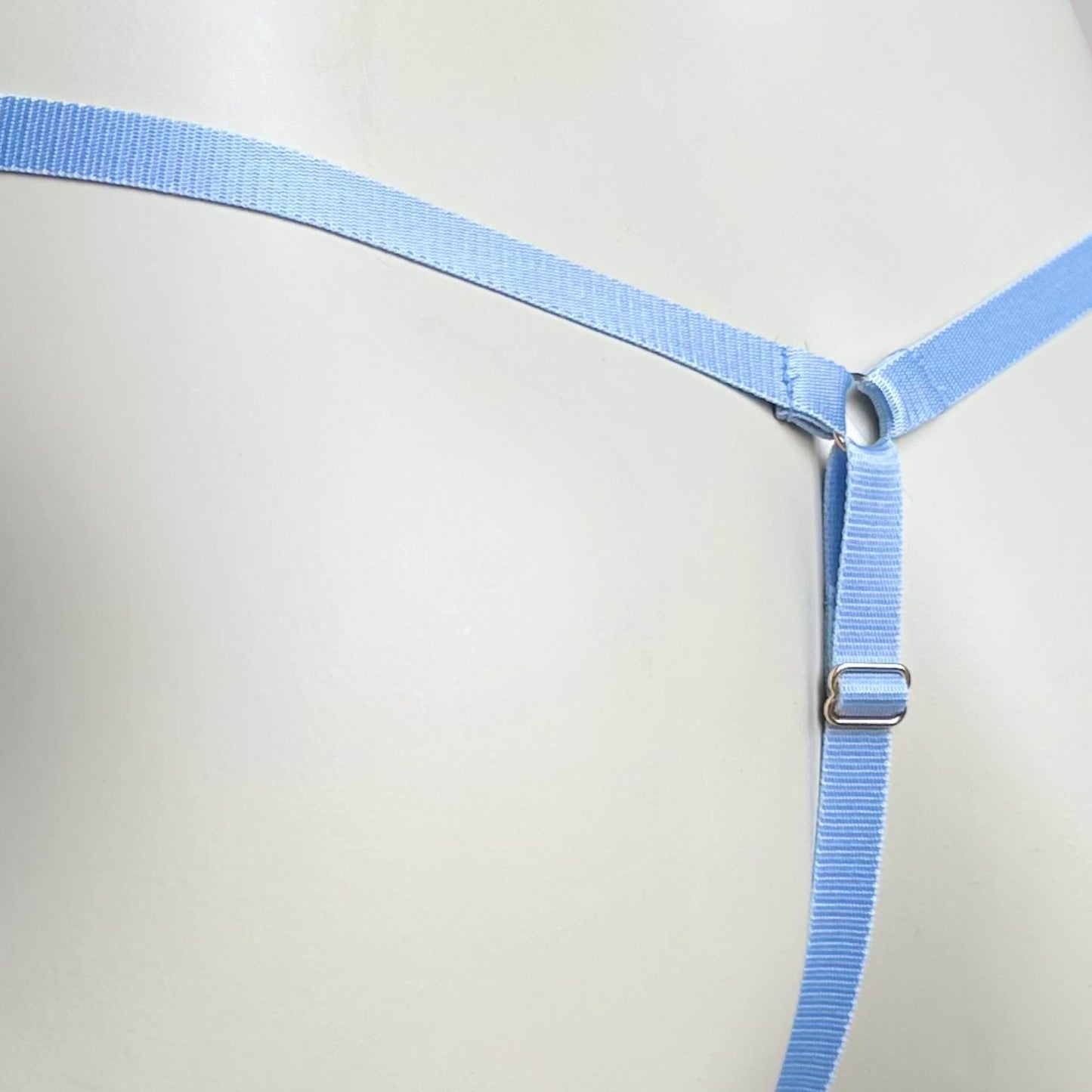 Male Mesh Chastity Cage Support Thong Sky Blue