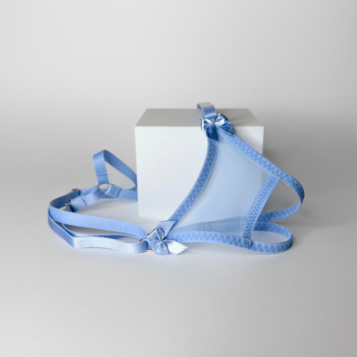 Crotchless Mesh Thong With Bows (Sky Blue)