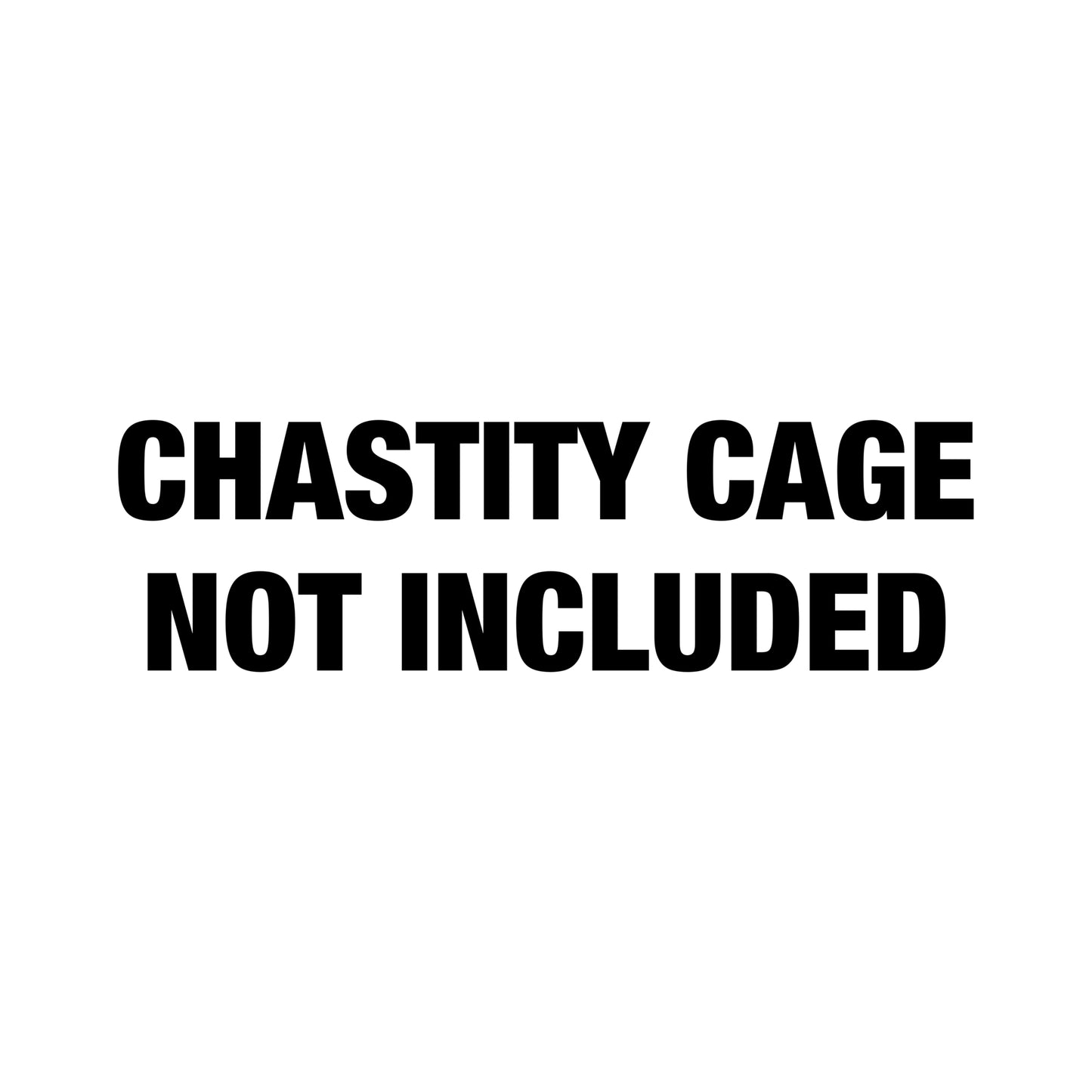 Mesh Support Jockstrap For Chastity Cage (White)