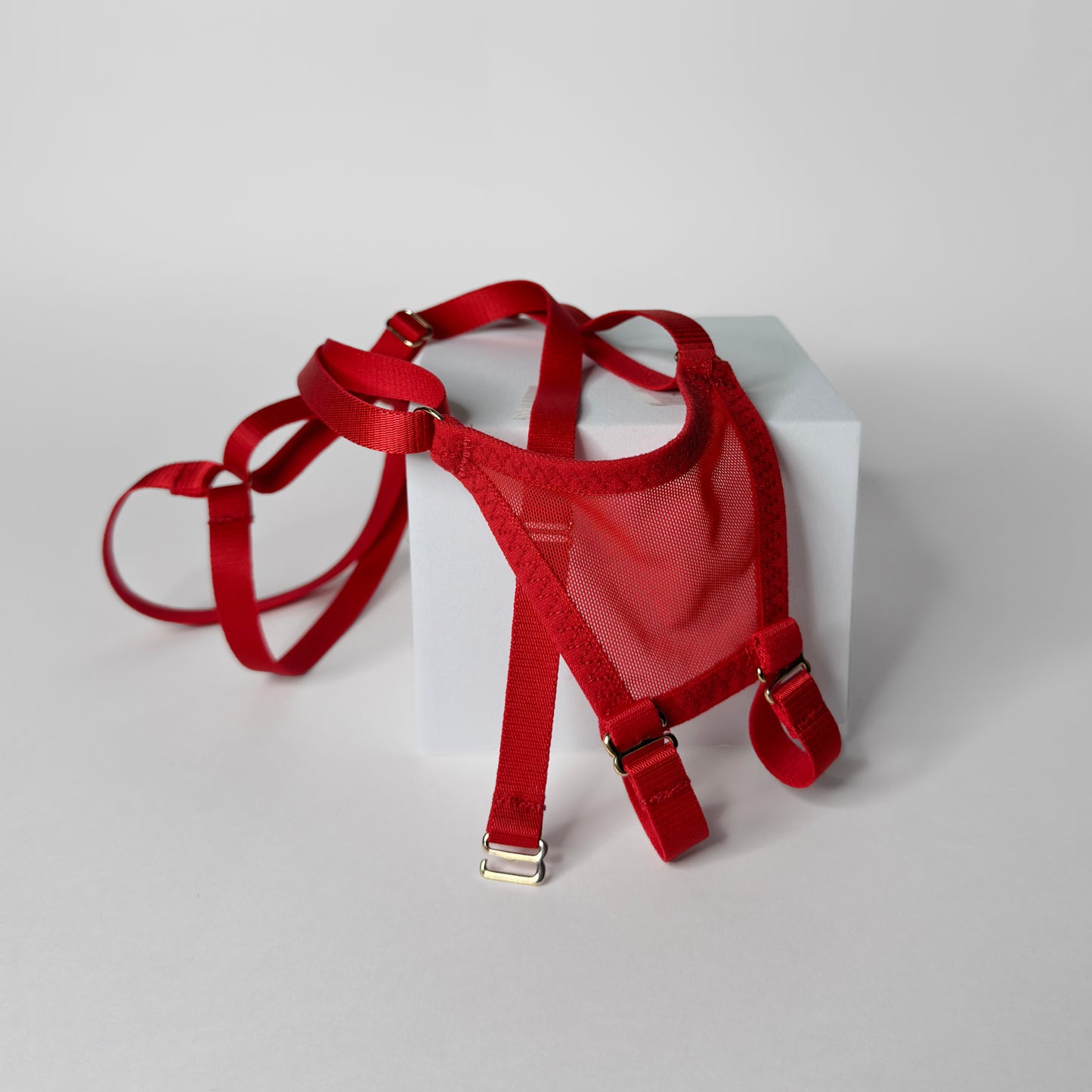 Mesh Support Thong For Chastity Cage (Red)