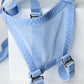 Mesh Support Thong For Chastity Cage (Sky Blue)