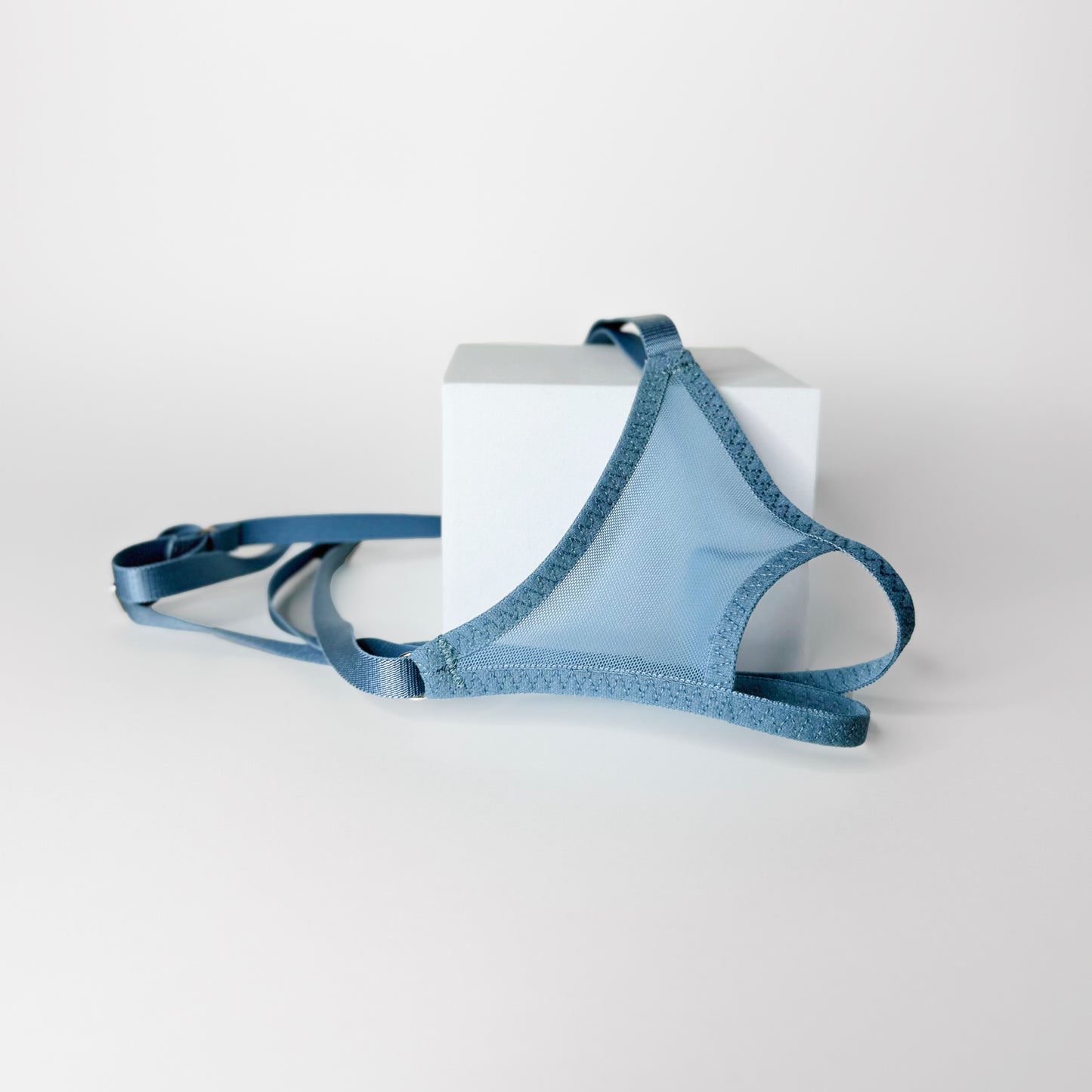 Crotchless Mesh Thong (Dusty Blue)